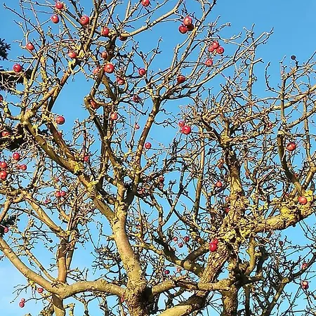 Apartman Ich Kenne Ein Haus Am