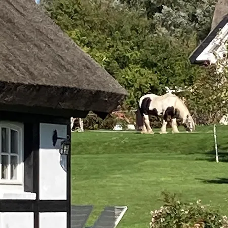 Ich Kenne Ein Haus Am 公寓 普特布斯