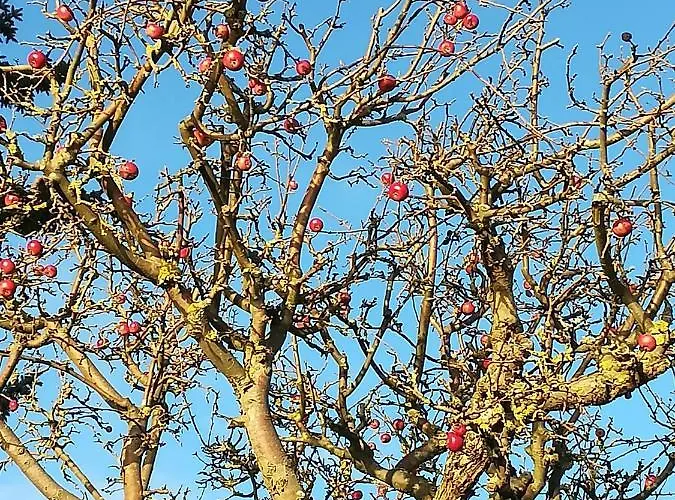 شقة Ich Kenne Ein Haus Am