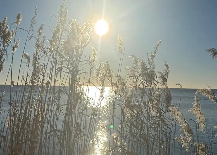 Ich Kenne Ein Haus Am *