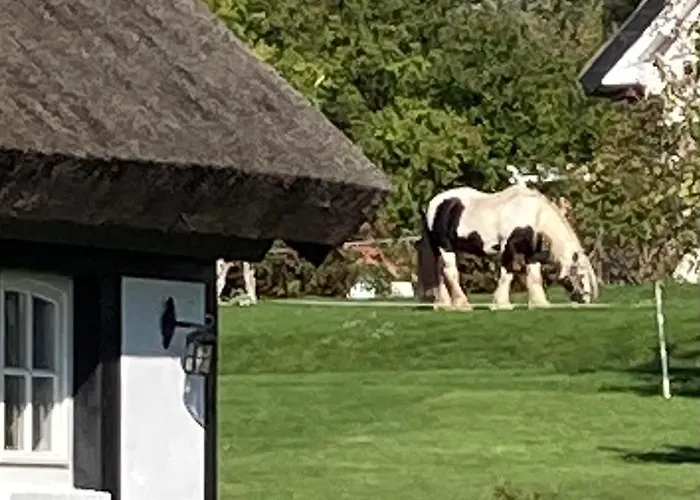 Ich Kenne Ein Haus Am شقة بوتبوس