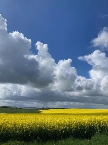 Ich Kenne Ein Haus Am شقة